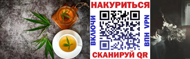Купить закладки  Новотроицк  Cannafood марихуана 