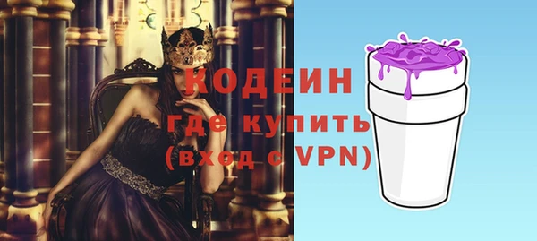 шишки Заводоуковск