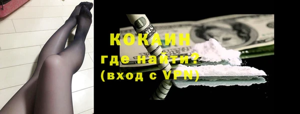шишки Заводоуковск