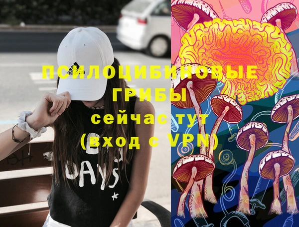 шишки Заводоуковск