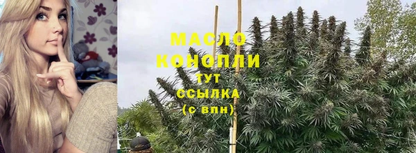 шишки Заводоуковск