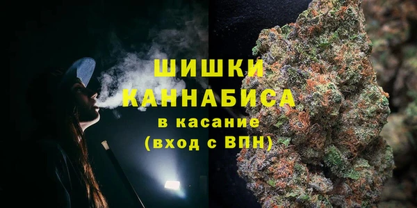 шишки Заводоуковск