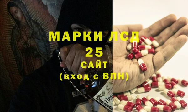шишки Заводоуковск
