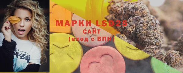 шишки Заводоуковск
