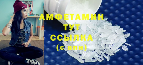 шишки Заводоуковск